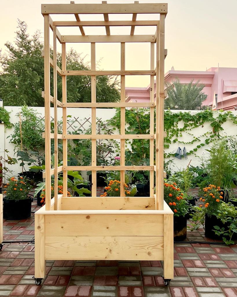 Garden Bed /Raised Bed 3