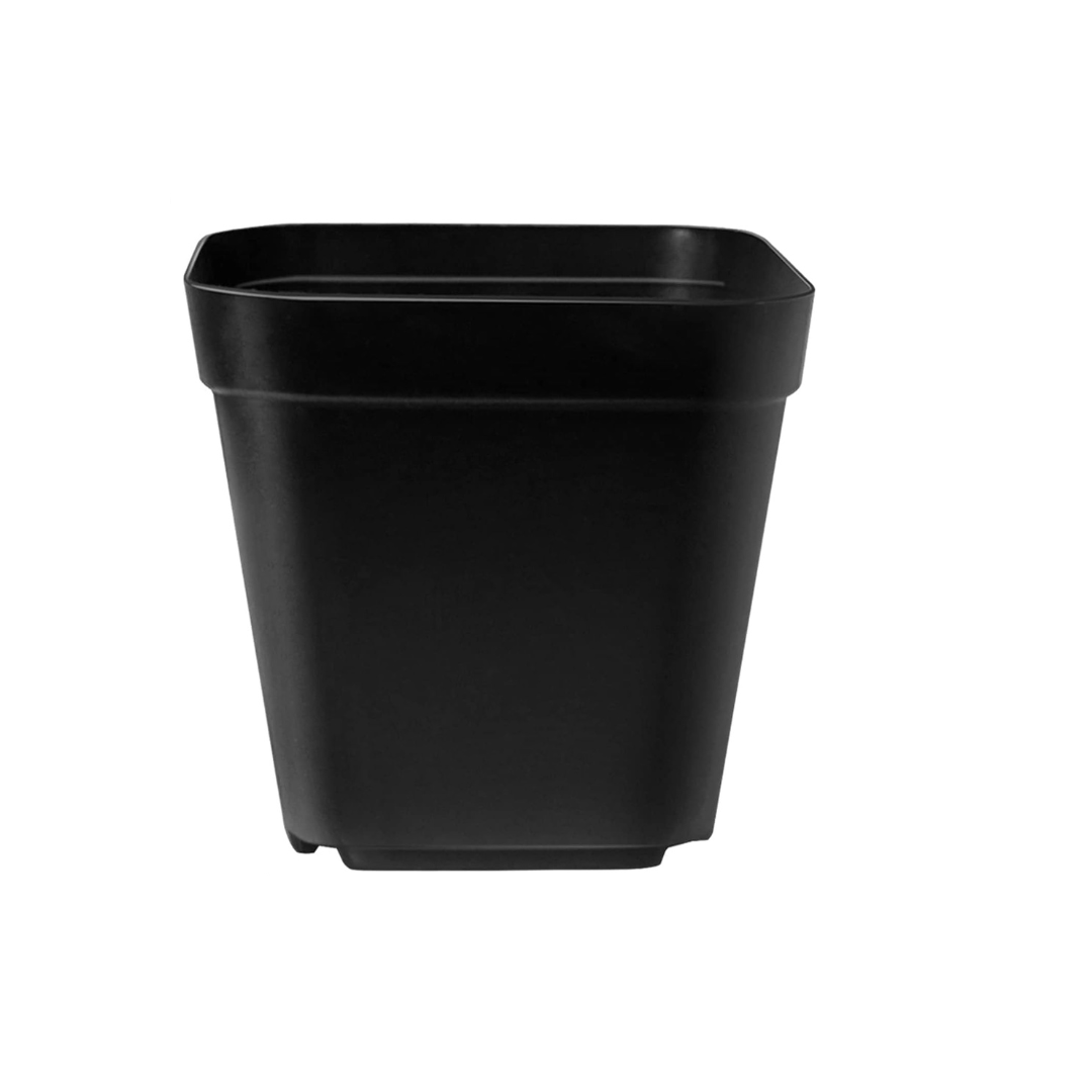 Square Black Nursery Pots – 5.5×5.5x6cm – Durable Plastic Seedling Containers with Drainage Holes – Ideal for Seed Starting, Cuttings, and Transplanting, Pack of 30