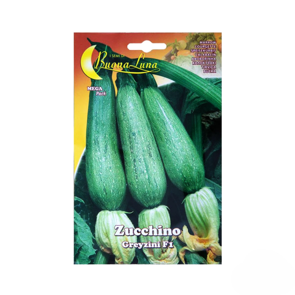 F1 Zucchino Greyzini Seeds