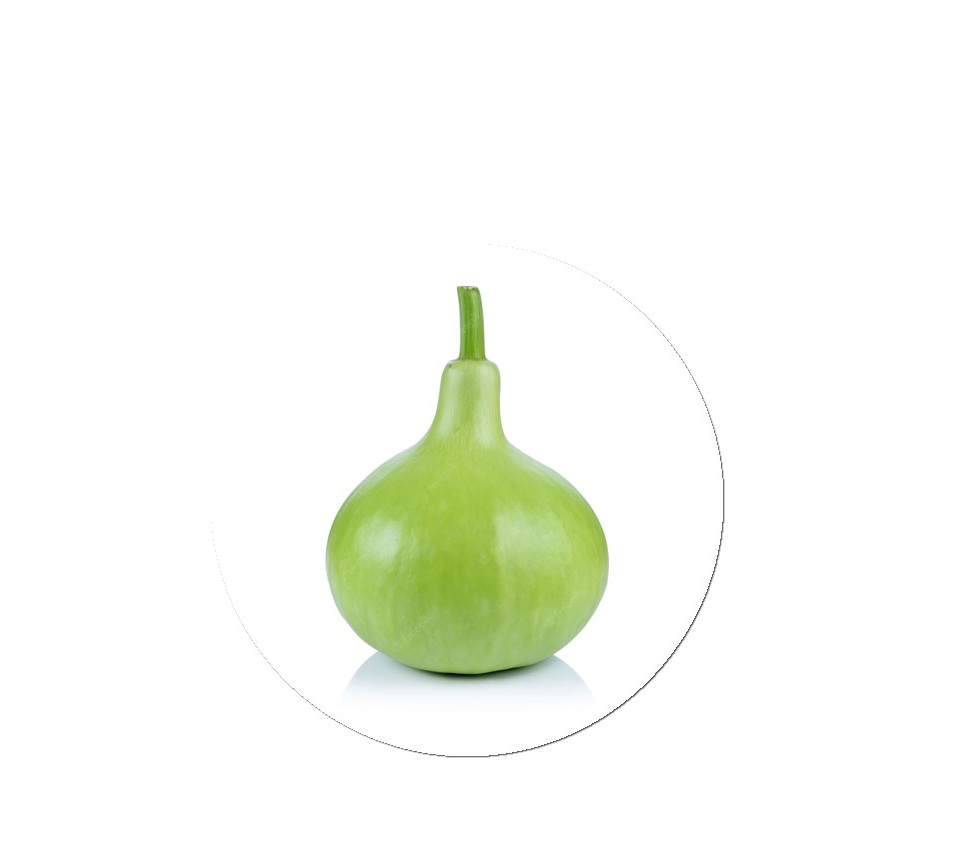 Hybrid Bottle Gourd Seeds