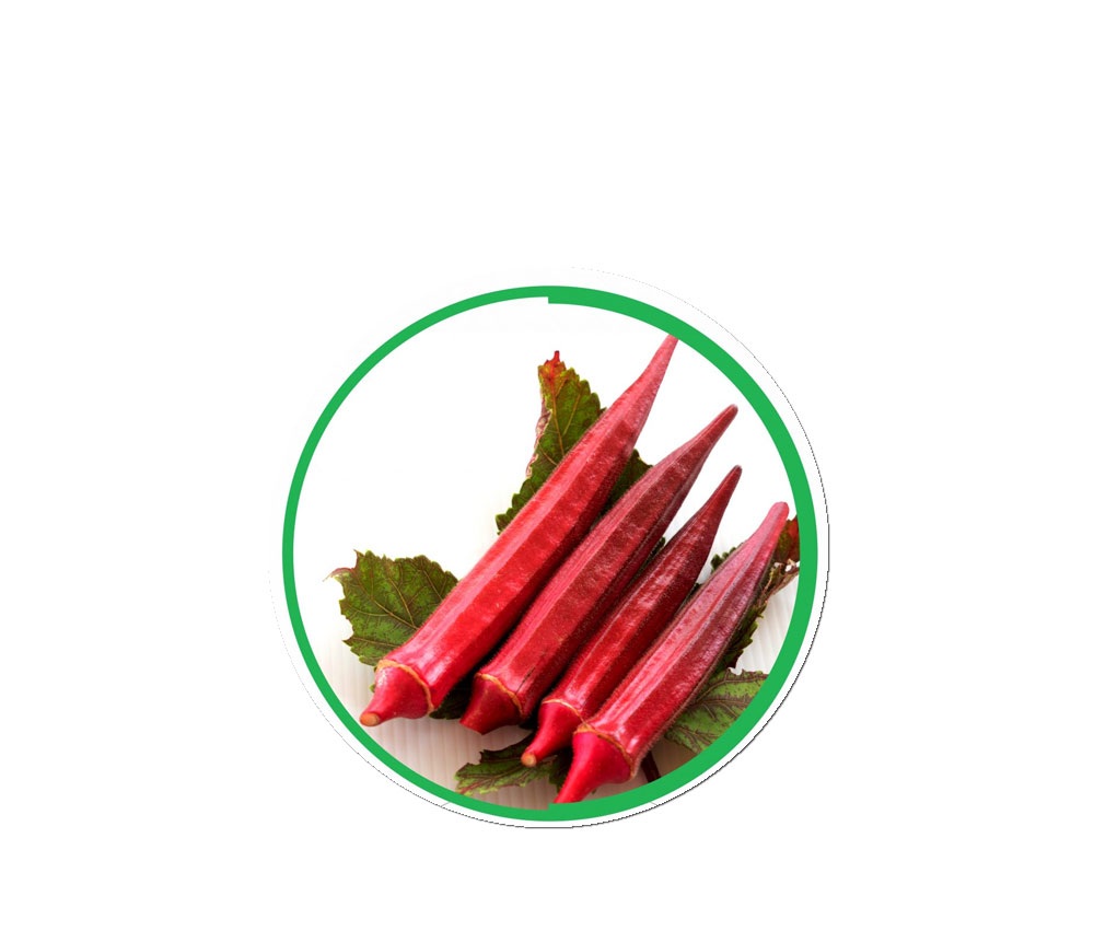 Hybrid Red Okra Seeds