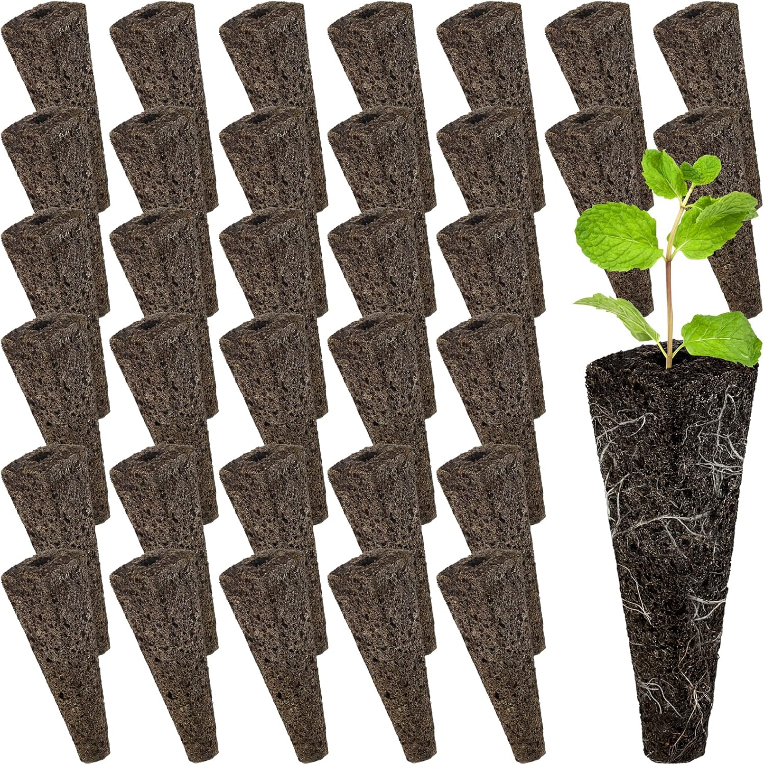 Grow Sponges For Aerogarden, 50 Pack Compatible Seed Starter Sponge