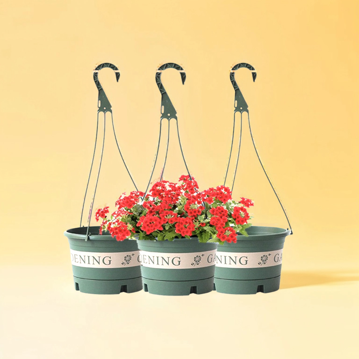 Hanging Flower Pot Indoor and Outdoor